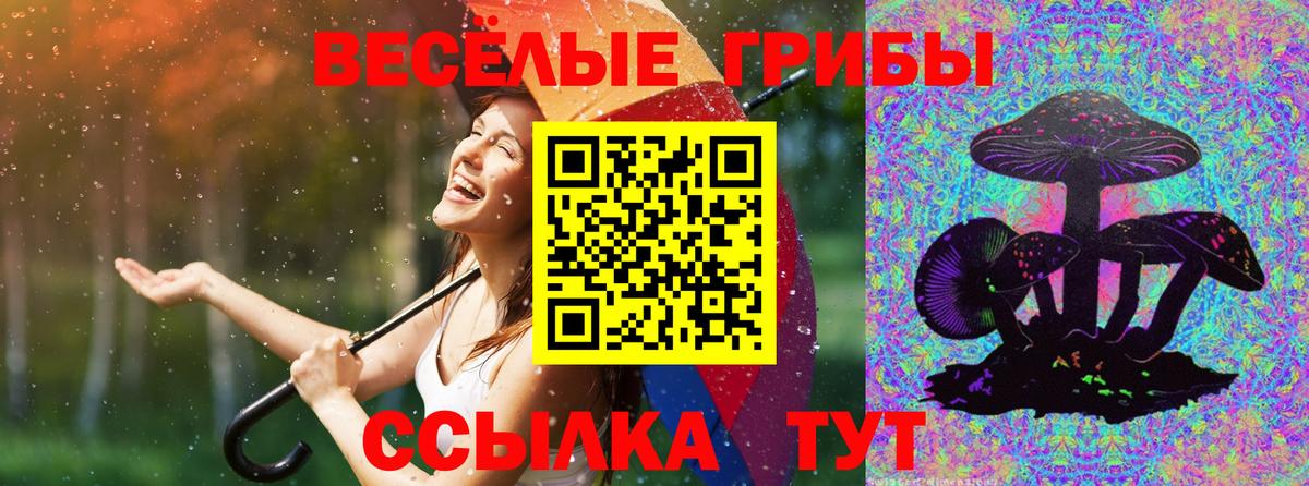 Галлюциногенные грибы Psilocybine cubensis Тула